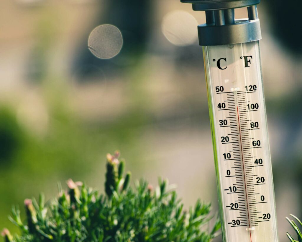 Thermometer outside next to some grass