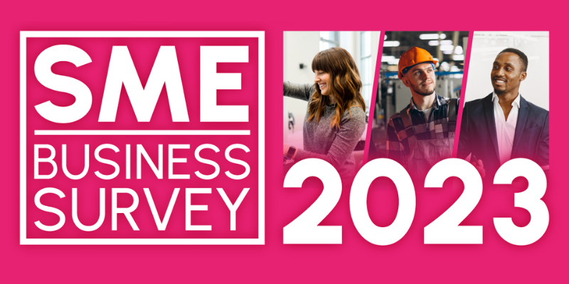 SME Business Survey